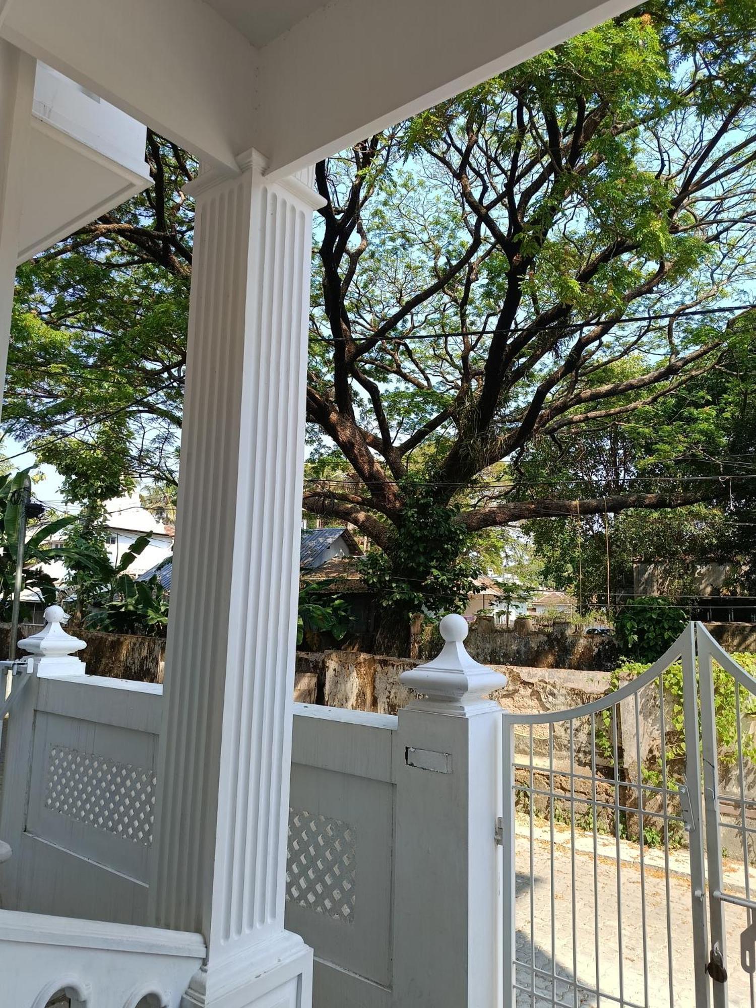 Elzas Fort Inn Kochi المظهر الخارجي الصورة