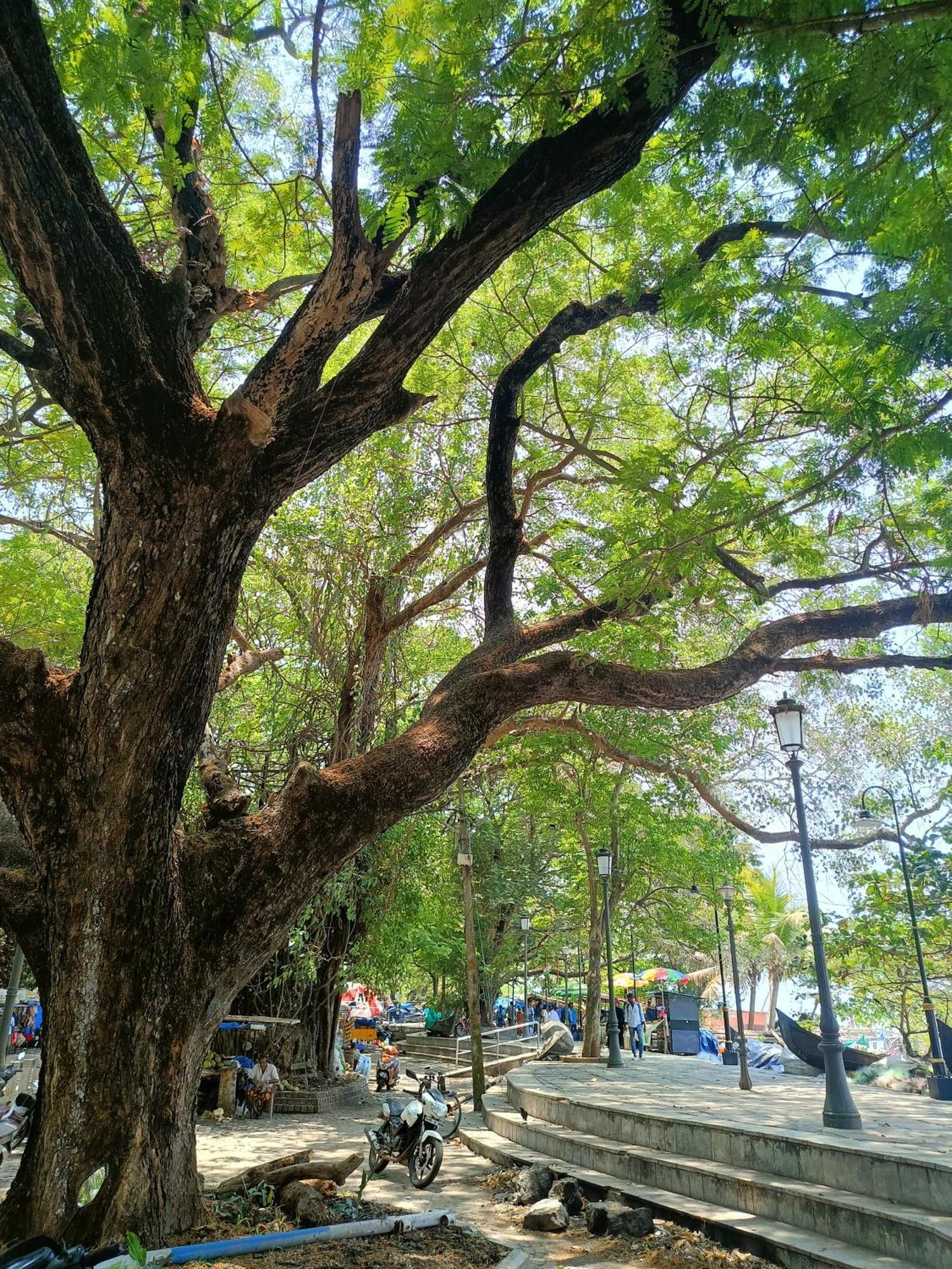 Elzas Fort Inn Kochi المظهر الخارجي الصورة